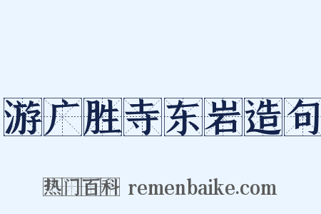 游广胜寺东岩造句是什么意思的图片